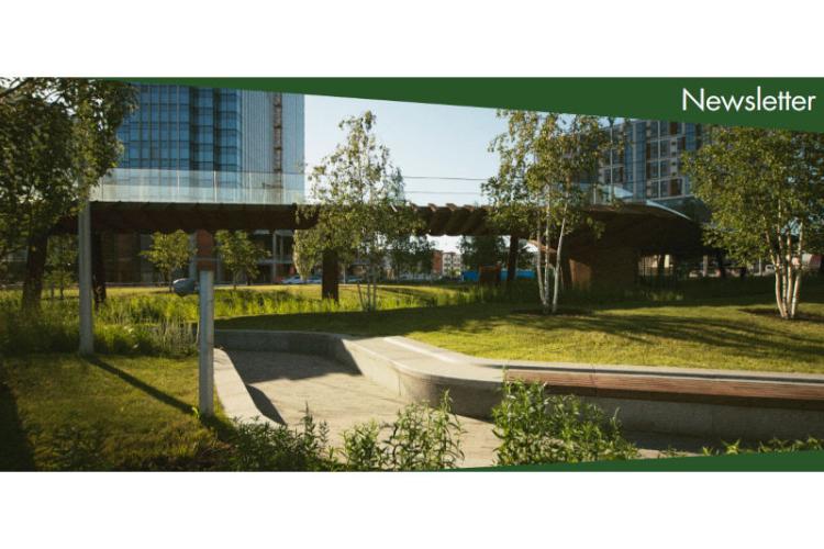 Newsletter Νοεμβρίου 2024
